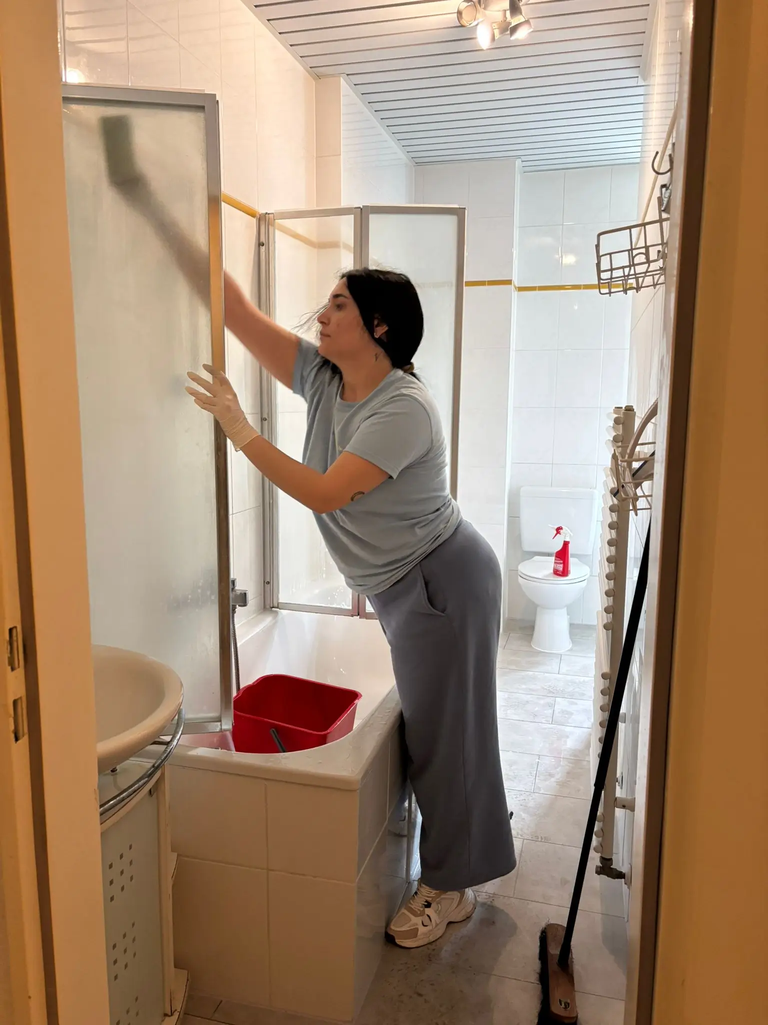 Wohnungsreinigung